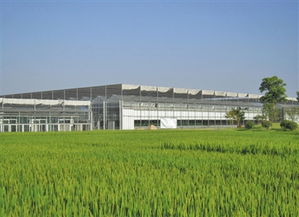 推進生態循環 生物農藥技術在現代農業協調發展中的關鍵作用